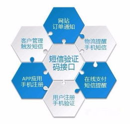 為什么需要這么多的驗證碼？——數字文化創意內容應用服務的視角